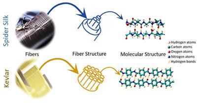 Recent Advances in Development of Functional Spider Silk-Based Hybrid Materials